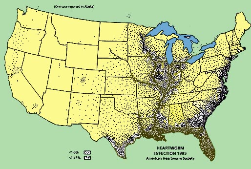 heartworm_area2.jpg (73372 bytes)
