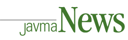 JAVMA News